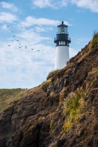 Blue;Brown;Cliffgrass;Clouds;Green;Lighthouse;Looking up;Oregon;Peaceful;Pelican;Rocks;Sky;Yellow